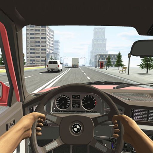 Racing in Car-SocialPeta