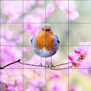 Tile Puzzles · Spring-SocialPeta