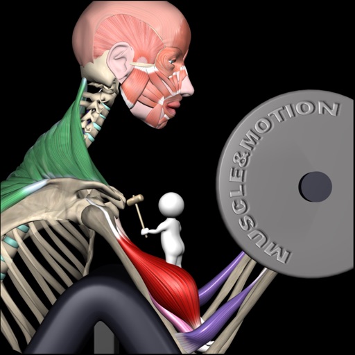 Strength by Muscle & Motion-SocialPeta
