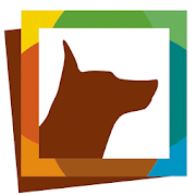 Casa Luna-SocialPeta