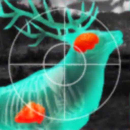 Wild Hunt: Hunting Games-SocialPeta