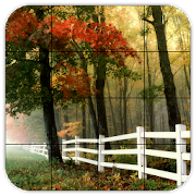 Tile Puzzles · Forests-SocialPeta