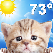 Weather Kitty-SocialPeta