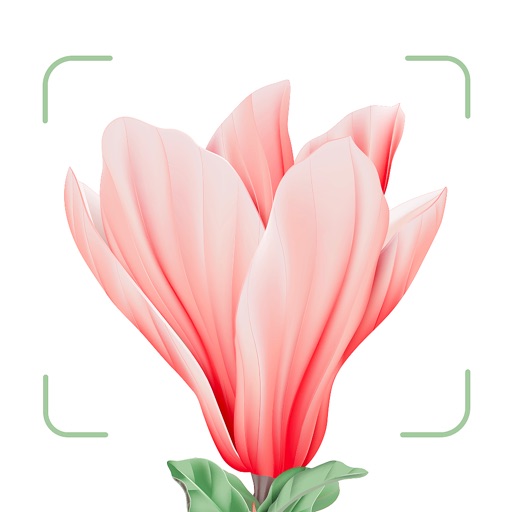 花草录-拍照识别花卉,快速鉴定植物种类。Blossom 出品-SocialPeta