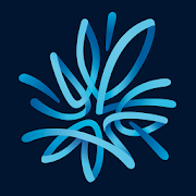 My AMP NZ-SocialPeta