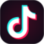 TikTok-SocialPeta