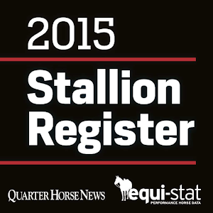 Quarter Horse Stallion-SocialPeta