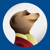 Meerkat-SocialPeta
