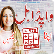 Online Electricity Bill Checker for Wapda Pakistan-SocialPeta