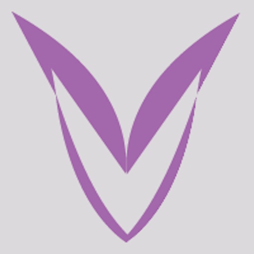 Vibe - Dating Worth Your Time-SocialPeta