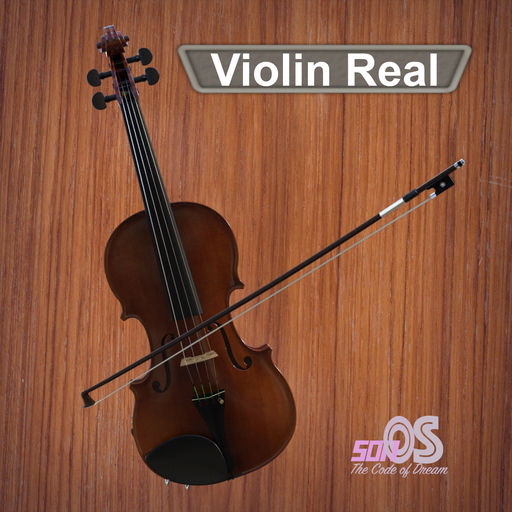 Violin Real-SocialPeta