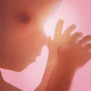 Pregnancy +-SocialPeta