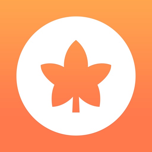메이플핸즈+-SocialPeta