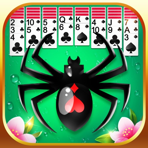 Spider Solitaire Fun-SocialPeta
