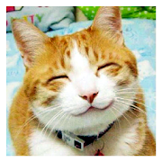 Funny Animal Pics-SocialPeta