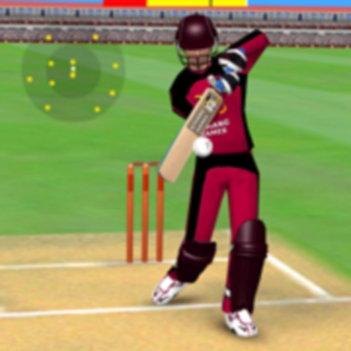 Smashing Cricket: Bat & Bowl-SocialPeta