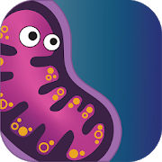 Infinite Evolution-SocialPeta