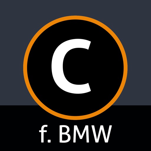Carly for BMW-SocialPeta