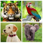 Animal Sounds - Animals for Kids, Learn Animals-SocialPeta