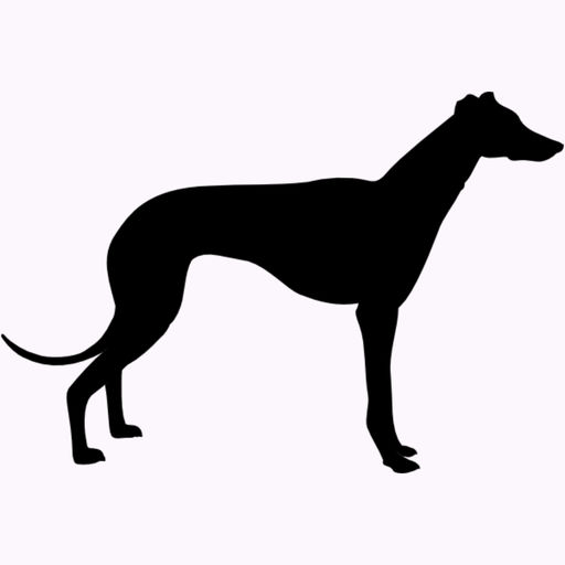 The Greyhound Tipster-SocialPeta