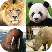Animals Quiz - Learn All Mammals and Birds!-SocialPeta