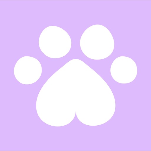 Feli - Cute Cats & Kitties-SocialPeta