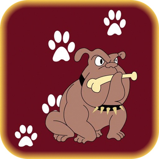 Pet Foods Delivered-SocialPeta