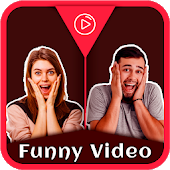 Funny Videos For Tik Tok Musically-SocialPeta