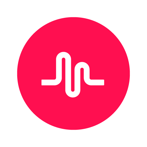 TikTok - Make Your Day-SocialPeta