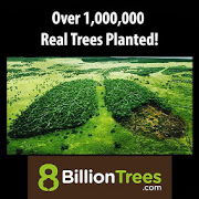 Plant For Trees - Plant Real Trees-SocialPeta