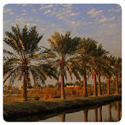 أخبار البصرة-SocialPeta